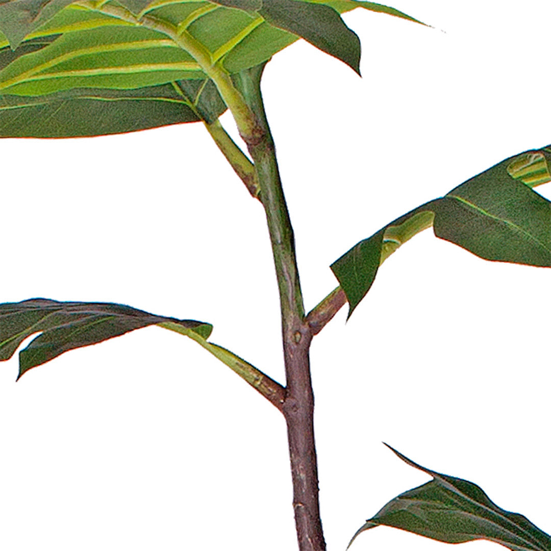 120cm Philodendron Artificial Plant