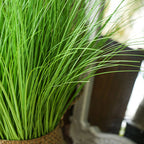 110cm Artificial Indoor Potted Reed Bulrush Grass
