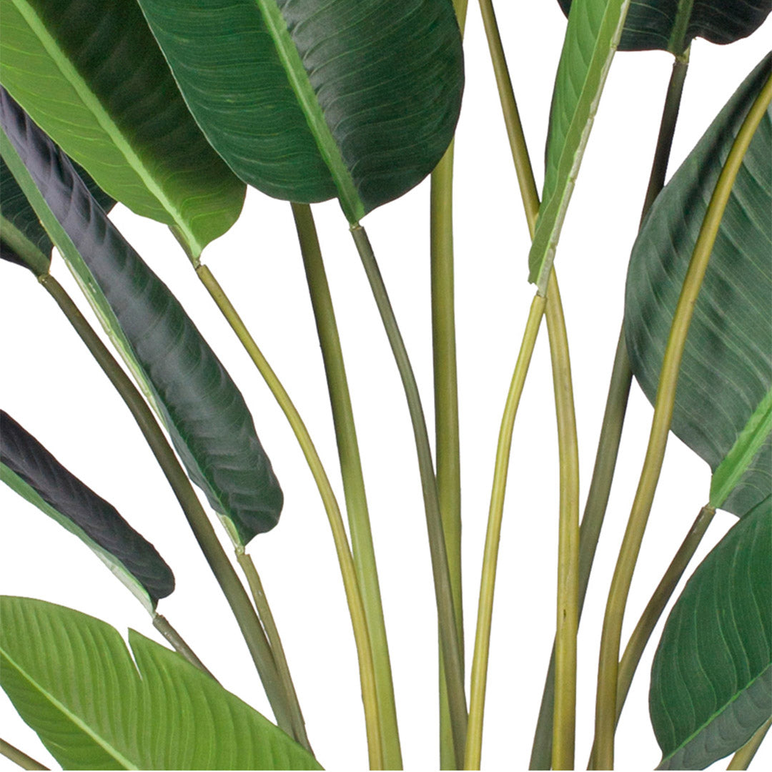 245cm Birds of Paradise Artificial Plant
