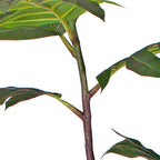90cm 2-Trunk Philodendron Artificial Plant