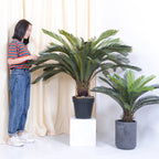 125cm Artificial Cycas Revoluta Plant