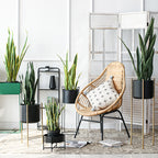 97cm Artificial Indoor Snake Sansevieria Plant