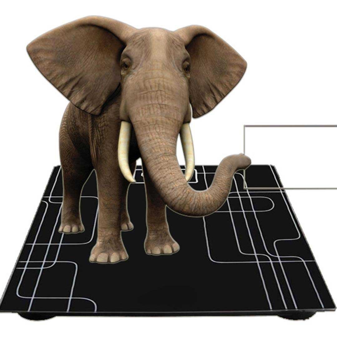180kg Electronic Talking Scale
