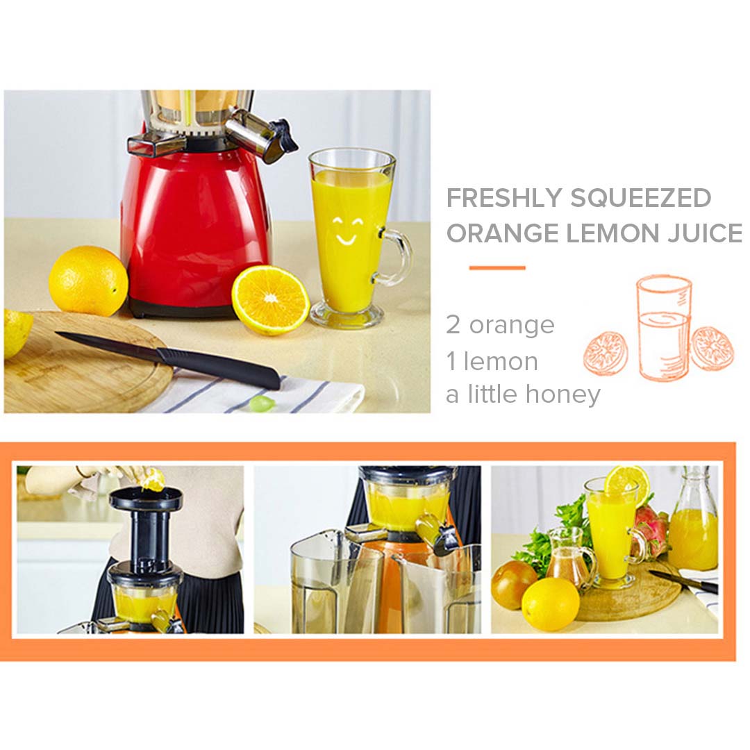 Cold Press Slow Juicer Green