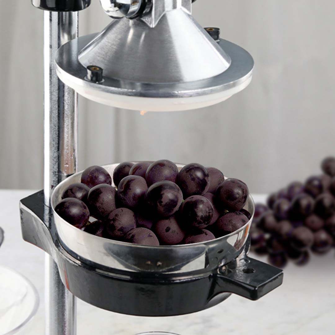 Stainless Steel Manual Juicer Squeezer Black