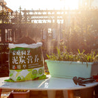 49.5cm Green Rectangular Vegetable Herb Flower Planter Box Set of 3