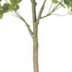 120cm Schefflera Artificial Plant