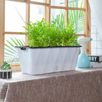 White Rectangular Flowerpot Vegetable Herb Planters Box Large