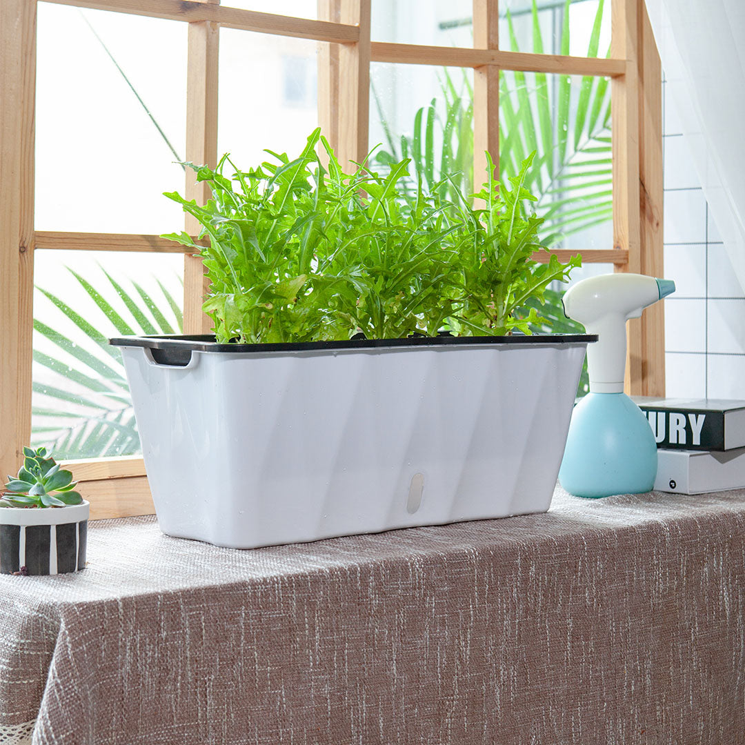 White Rectangular Flowerpot Vegetable Herb Planters Box Large
