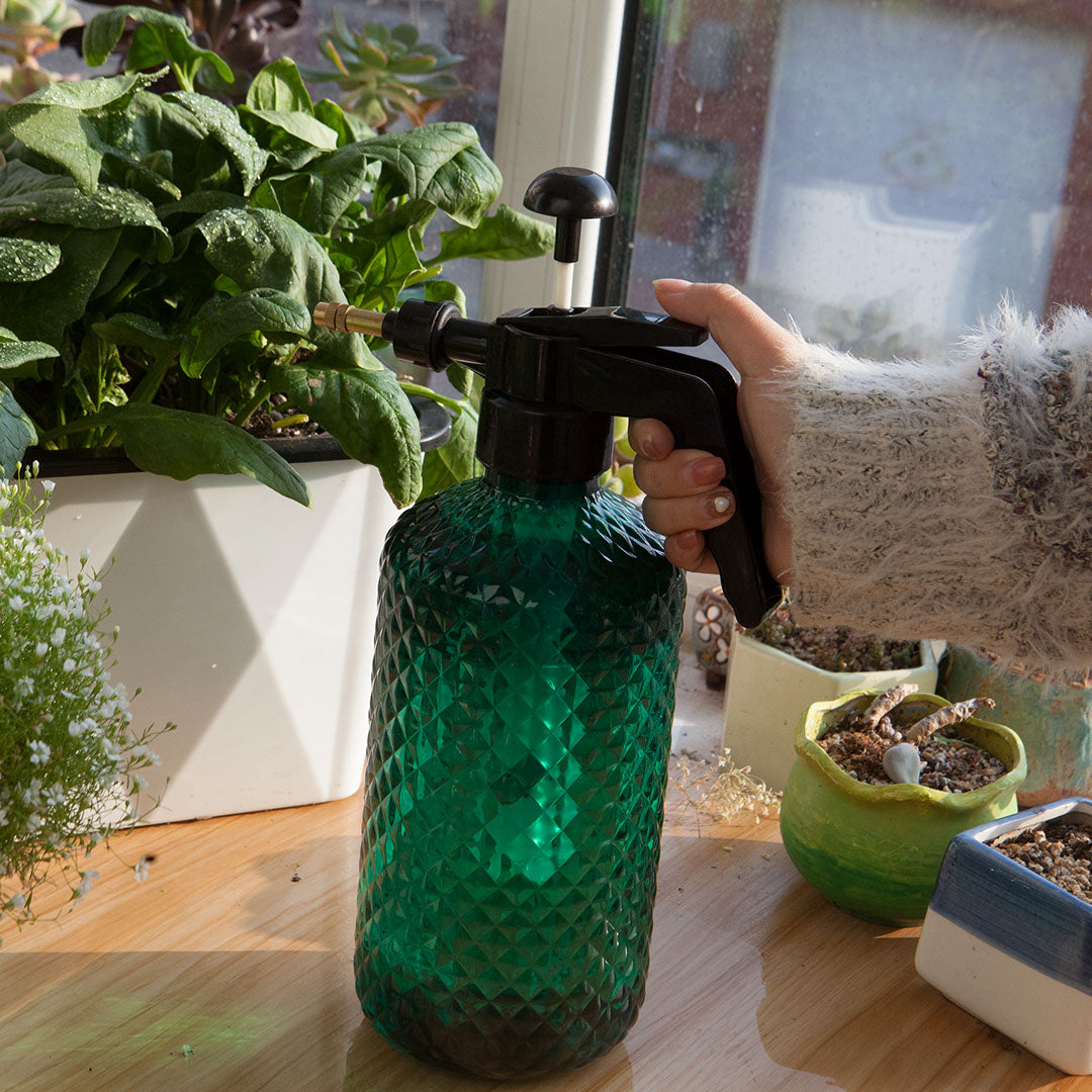 2L Handheld Water Spray Bottle with Top Pump