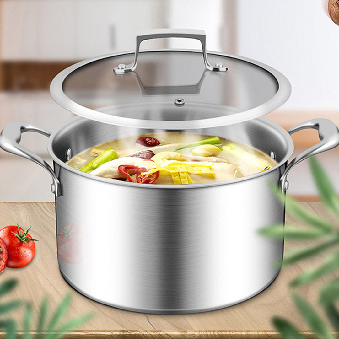 20cm Stainless Steel Soup Pot with Glass Lid