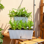 White Rectangular Flowerpot Vegetable Herb Planters Box Large