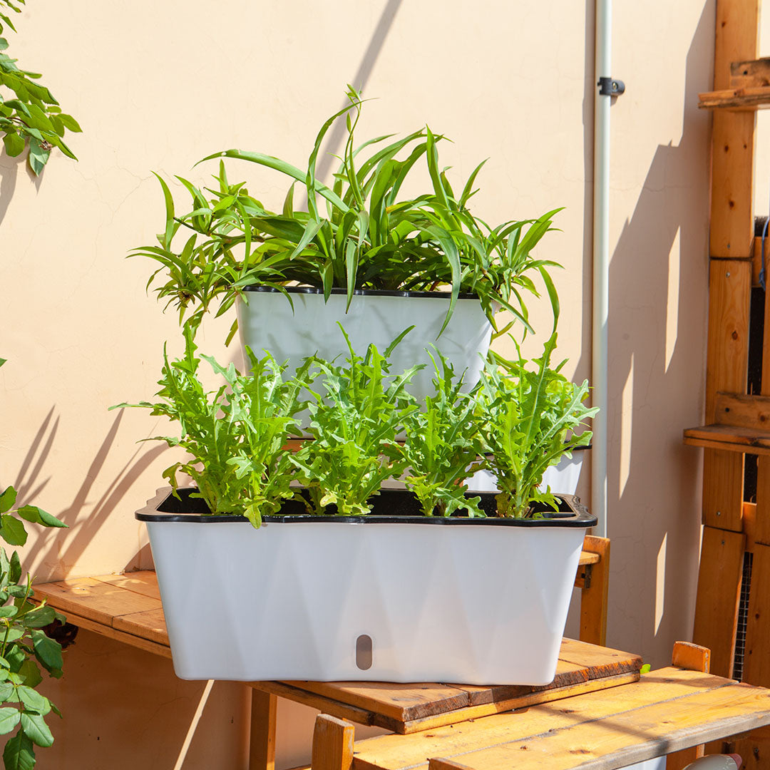 White Rectangular Flowerpot Vegetable Herb Planters Box Large