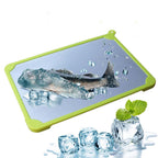 Fast Frozen Food Defrosting Tray