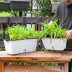 White Rectangular Flowerpot Vegetable Herb Planters Box Small