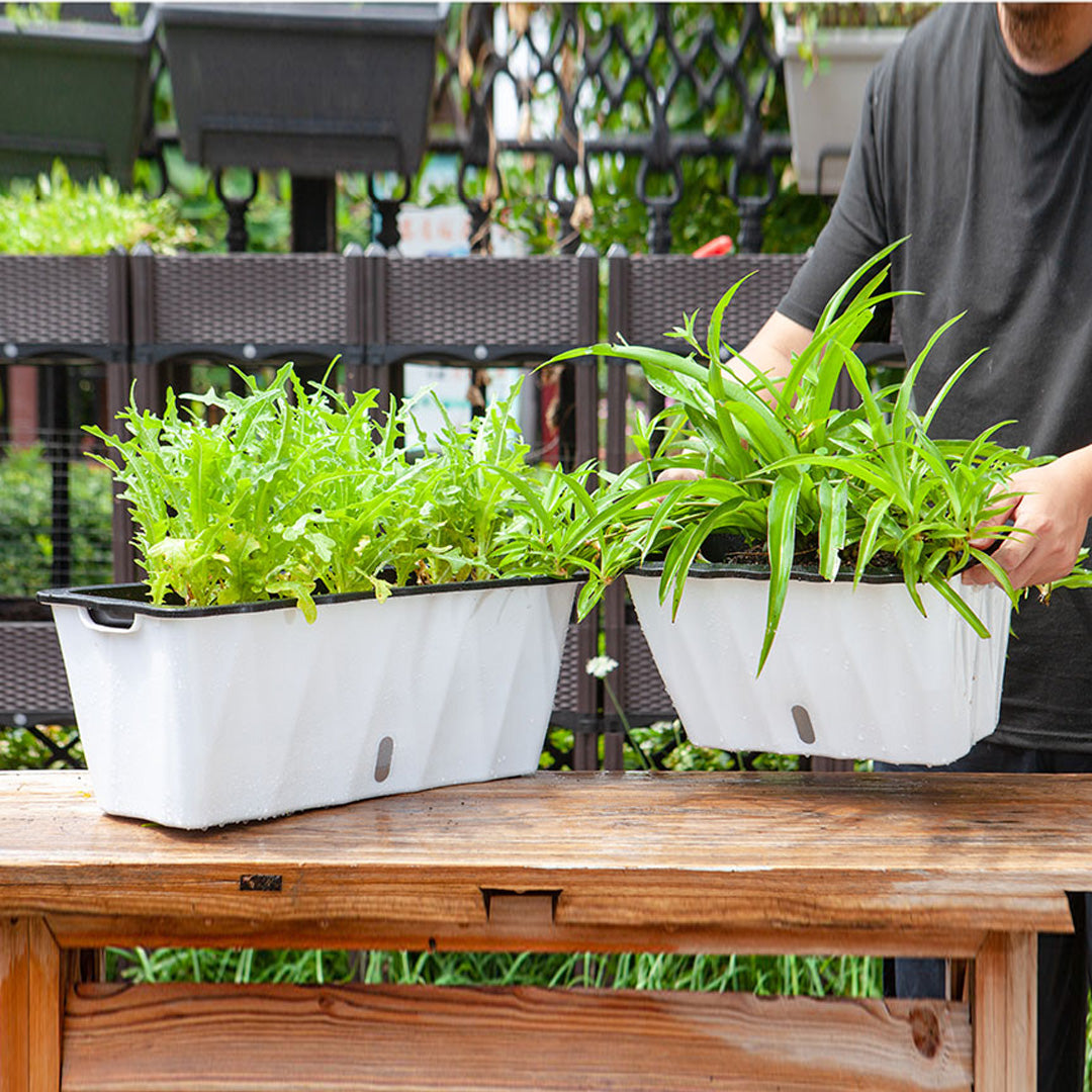 White Rectangular Flowerpot Vegetable Herb Planters Box Small