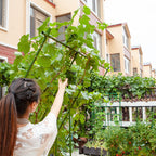 160cm Inclined Plant Frame