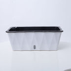 White Rectangular Flowerpot Vegetable Herb Planters Box Large